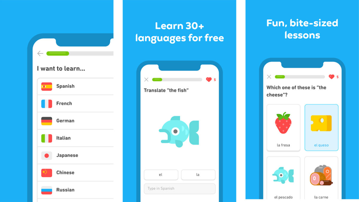 4 Best Apps For Learning On The Go
