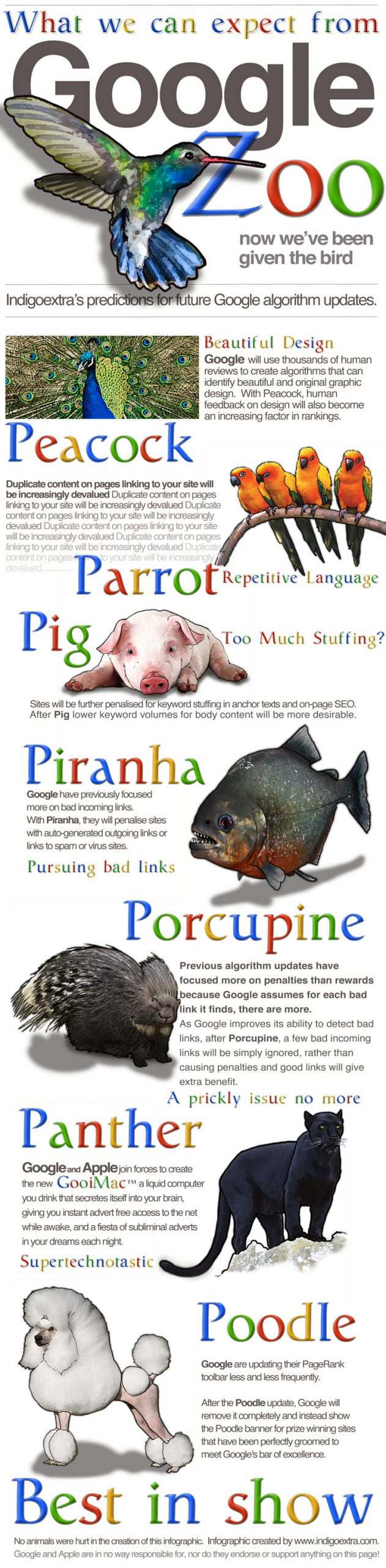 Google Zoo – Predictions for future Google SEO updates