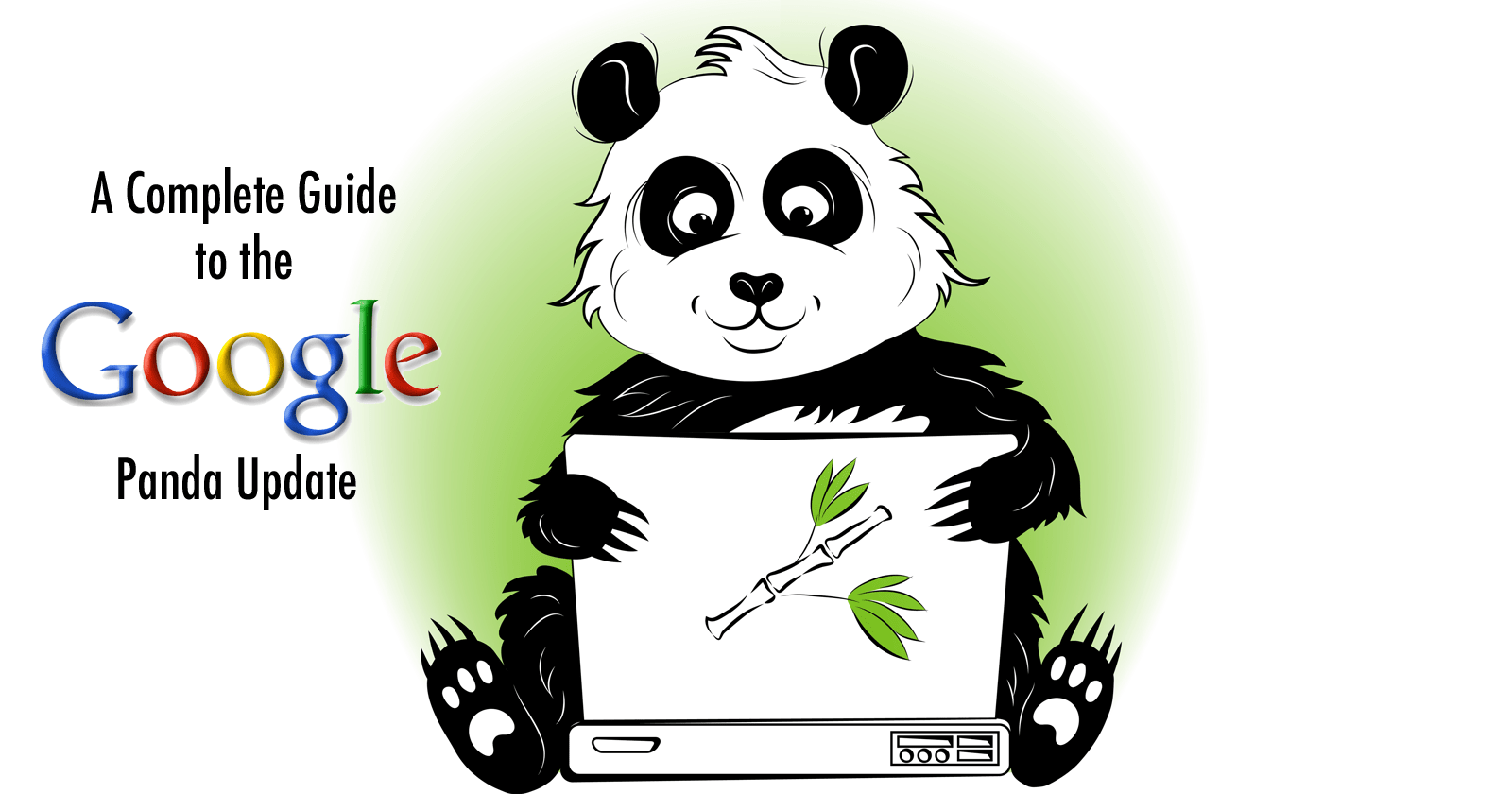 What The Changes In Google Panda Mean For Your Website